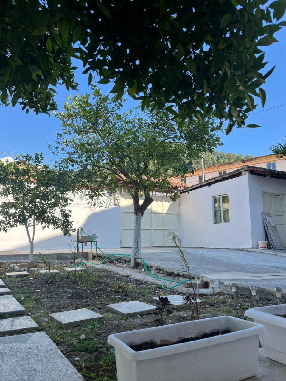 Berat Private Room In Haxhialiu Villa Εξωτερικό φωτογραφία
