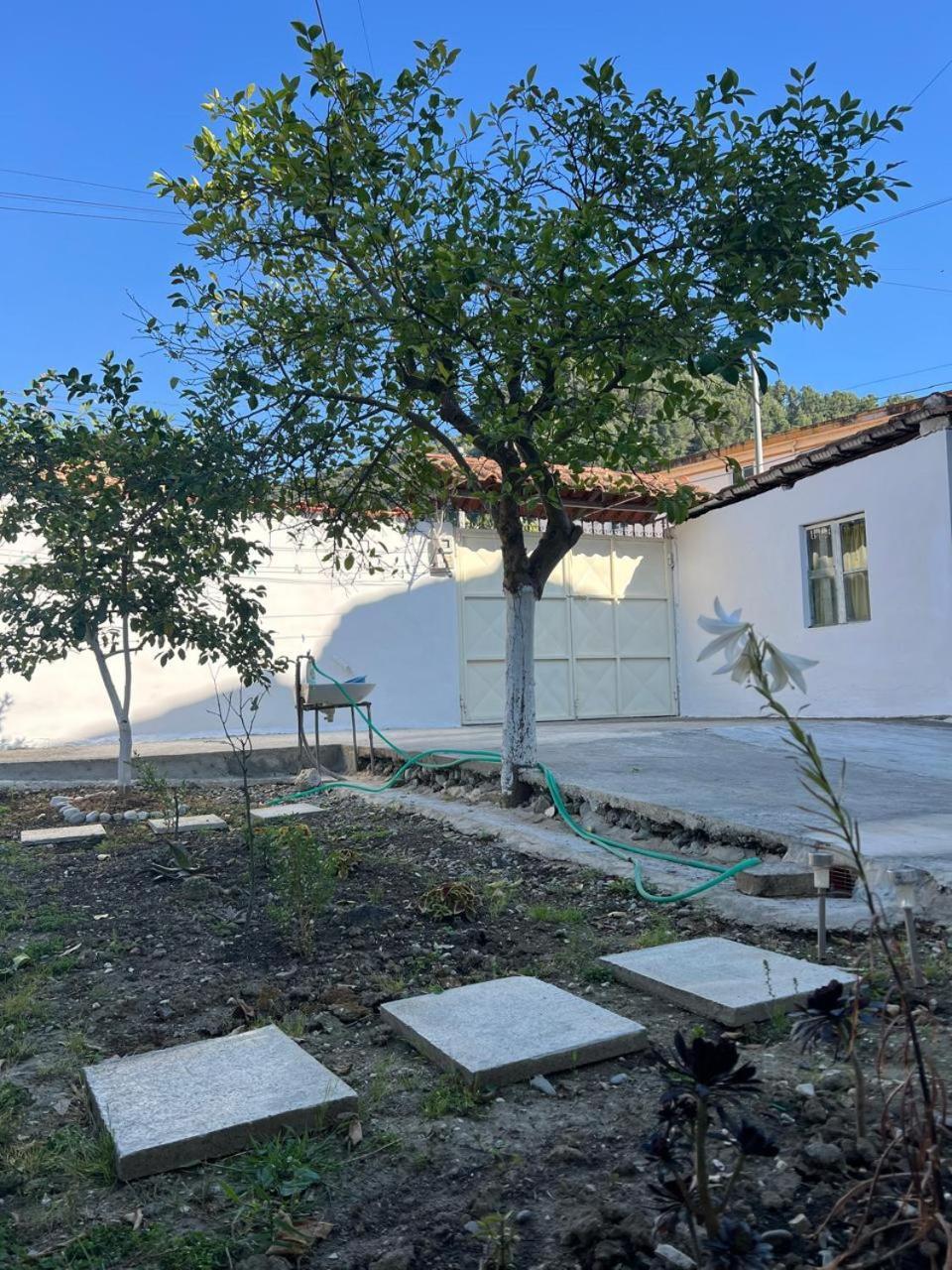 Berat Private Room In Haxhialiu Villa Εξωτερικό φωτογραφία